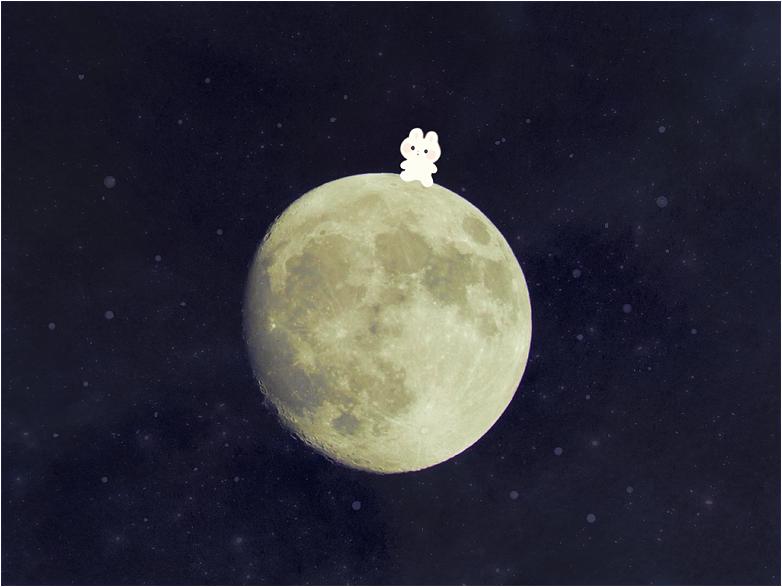 类似于粉兔兔的插画,兔耳少女插画日本