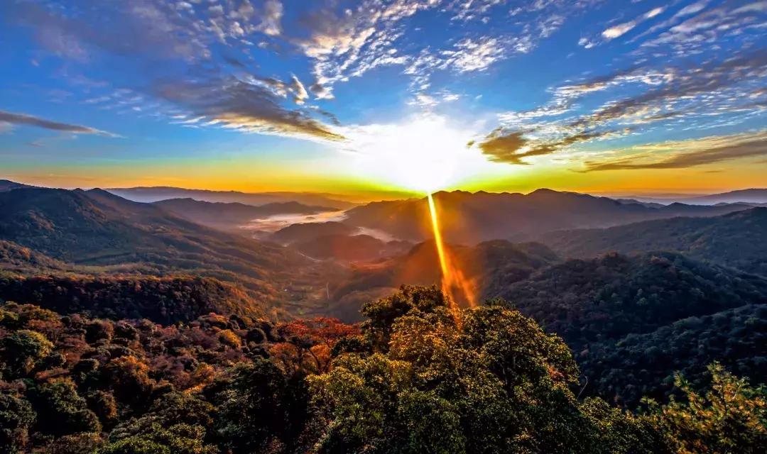 今天,我要夸夸我的通江