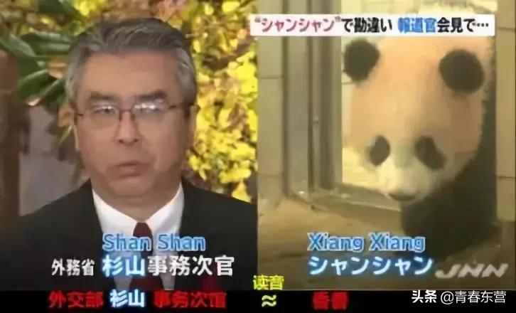 外交女神华春莹“发飙”记