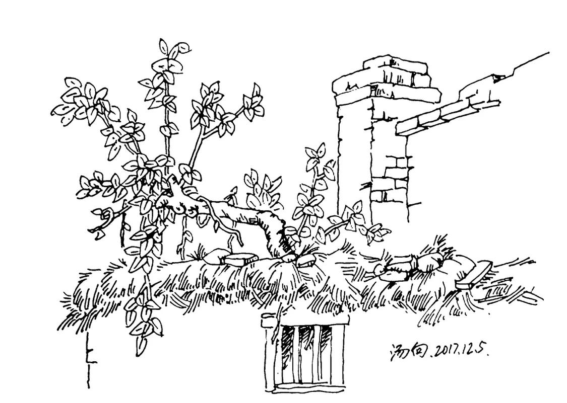 世界顶级人物肖像100张钢笔画临摹,40张顶级钢笔画