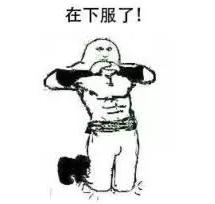 上海最让人吐槽的地铁,上海地铁16号线太挤了视频