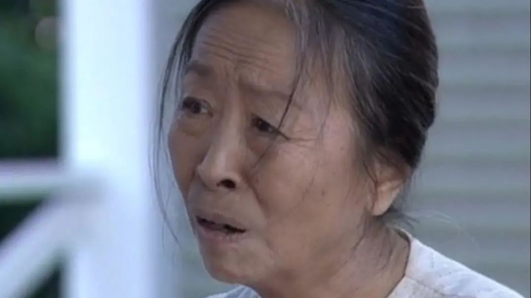 张少华的人生经历,张少华的坎坷人生