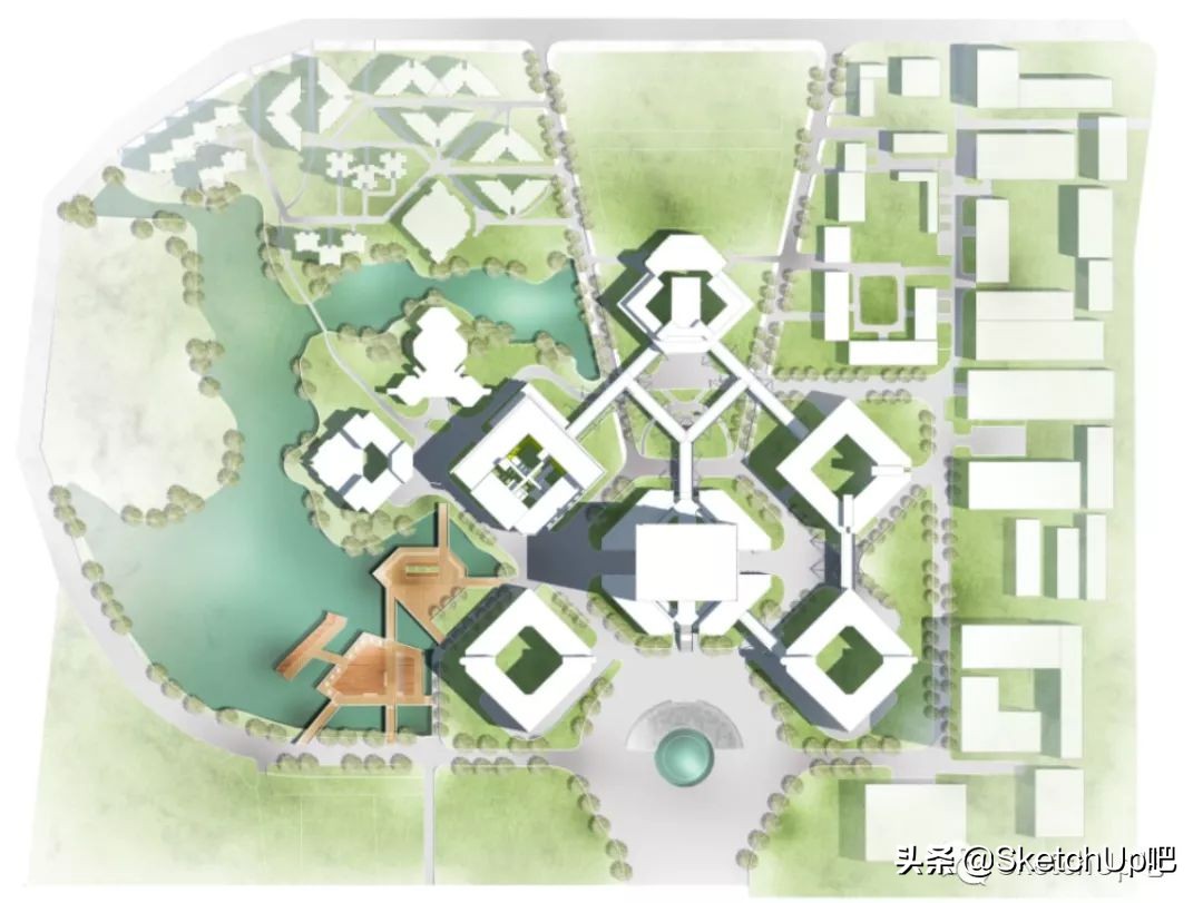 猛虎落泪指的什么动物打一生肖,猛虎落泪代表什么生肖打一动物