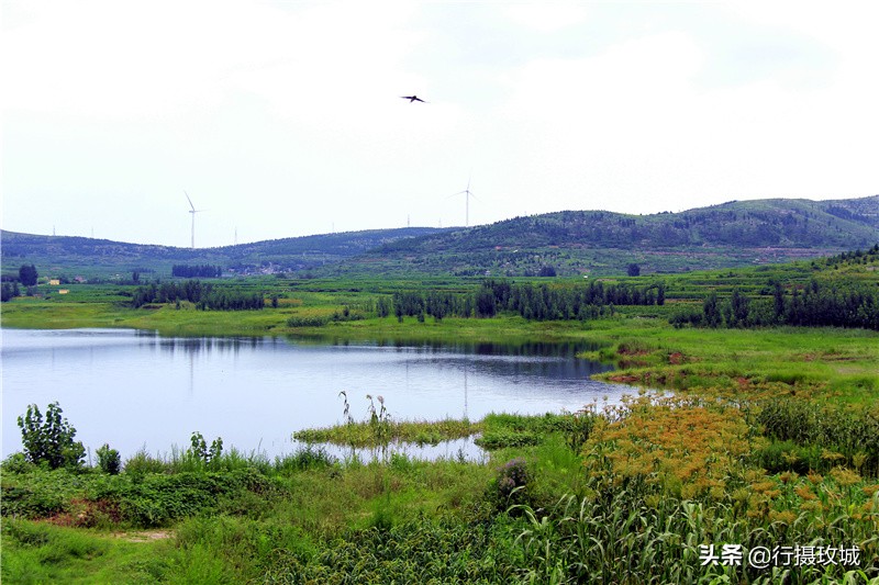 平阴县毛铺八里沟,平阴安城毛铺水库