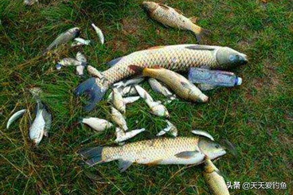 图解钓鱼线组的多种实用绑法，结实耐用，钓大鱼必备