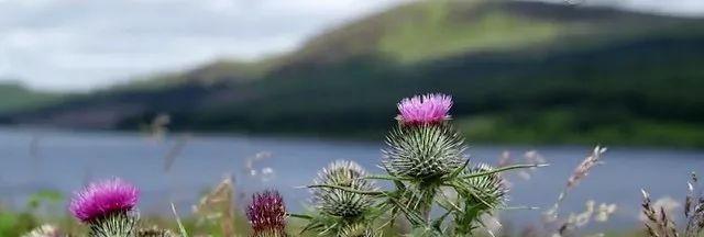 鍖呯鏃ヨ鍏ㄩ泦瑙ｈ,鍖呯鏃ヨ鎺ㄨ崘