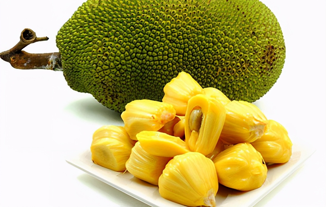 菠萝蜜切开了没熟怎么办,菠萝蜜怎么催熟最快最有效