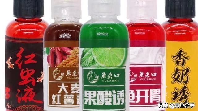 揭秘钓鱼小药的味型,钓鱼小药使用基础知识有哪些内容