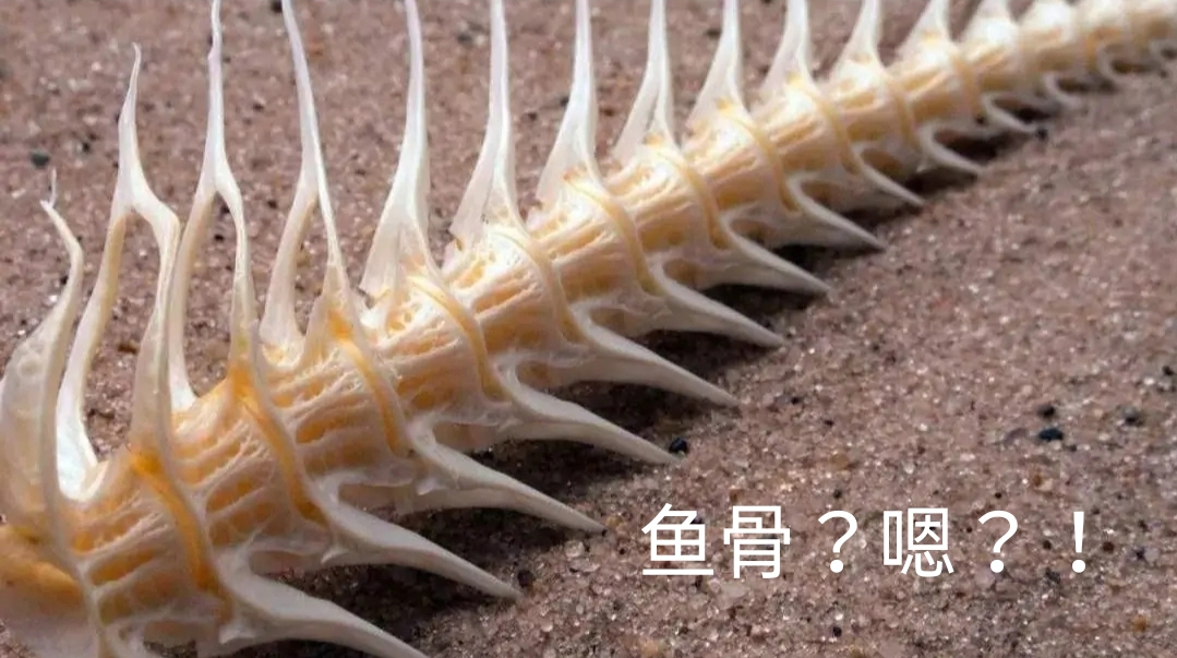 我的世界十张梗图,我的世界老玩家才知道的梗图