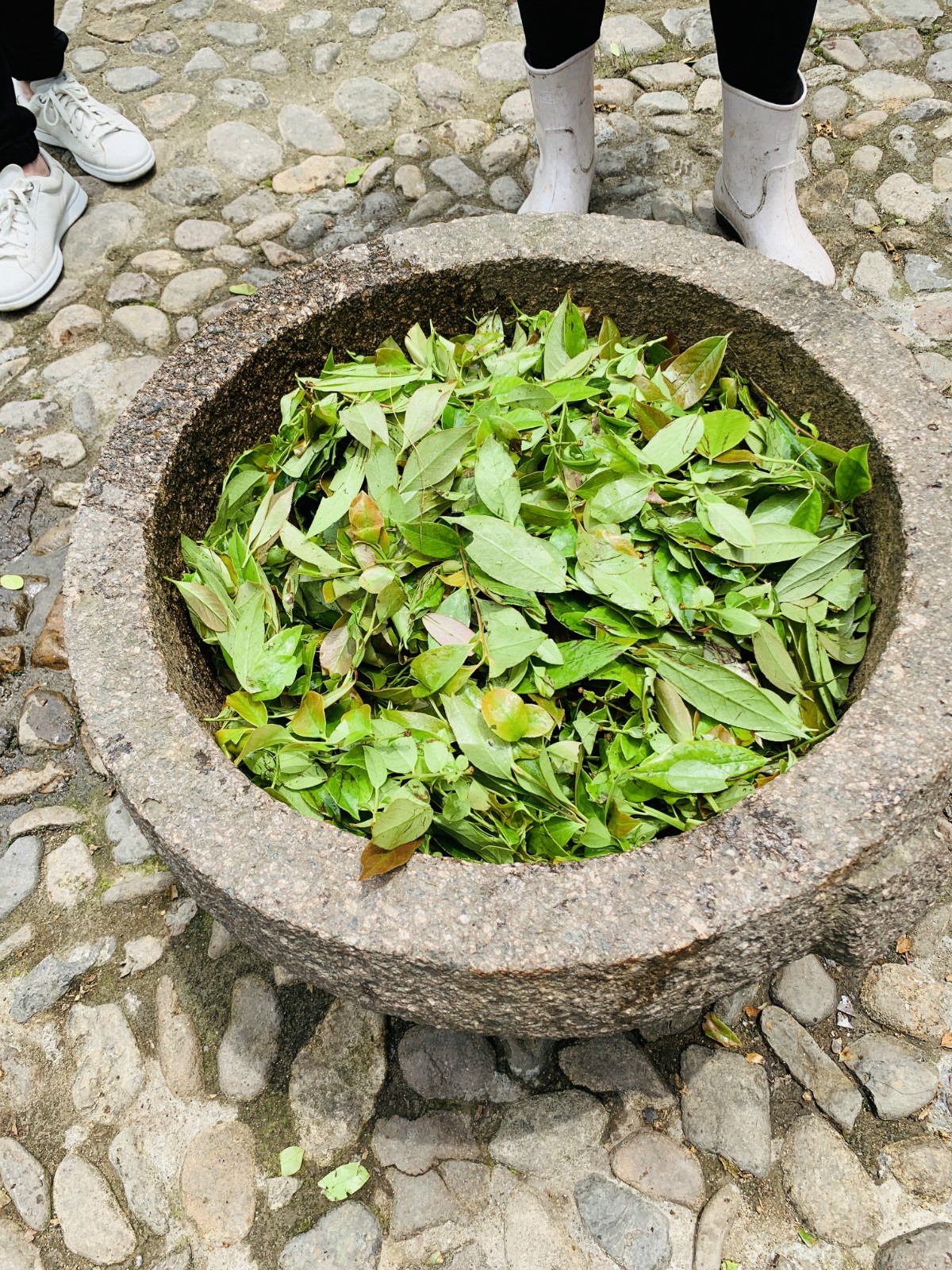 遂昌仙峡湖网红绿道在哪里,遂昌仙峡湖