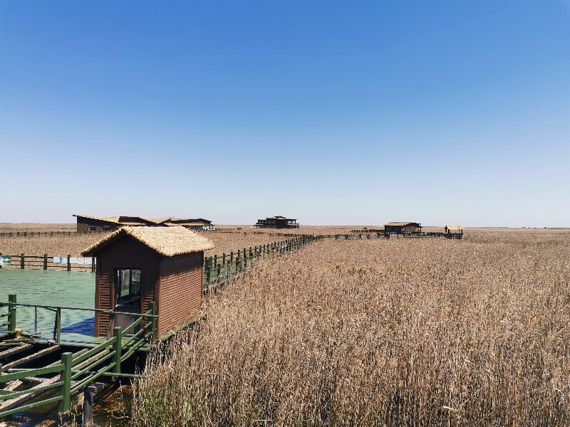 崇明岛东滩湿地公园附近美食,崇明岛东滩湿地公园