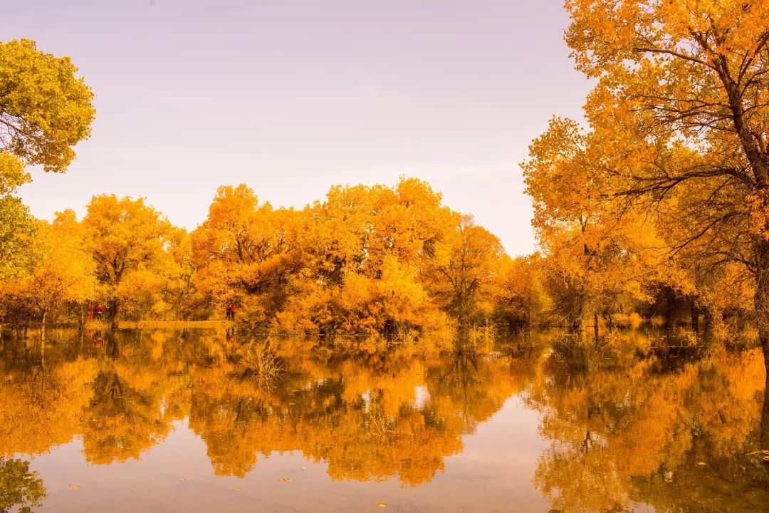 额济纳戈壁滩记录,额济纳戈壁滩沙漠