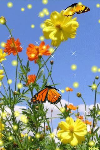 水中花郁可唯简谱动态谱,动态水中花歌词壁纸