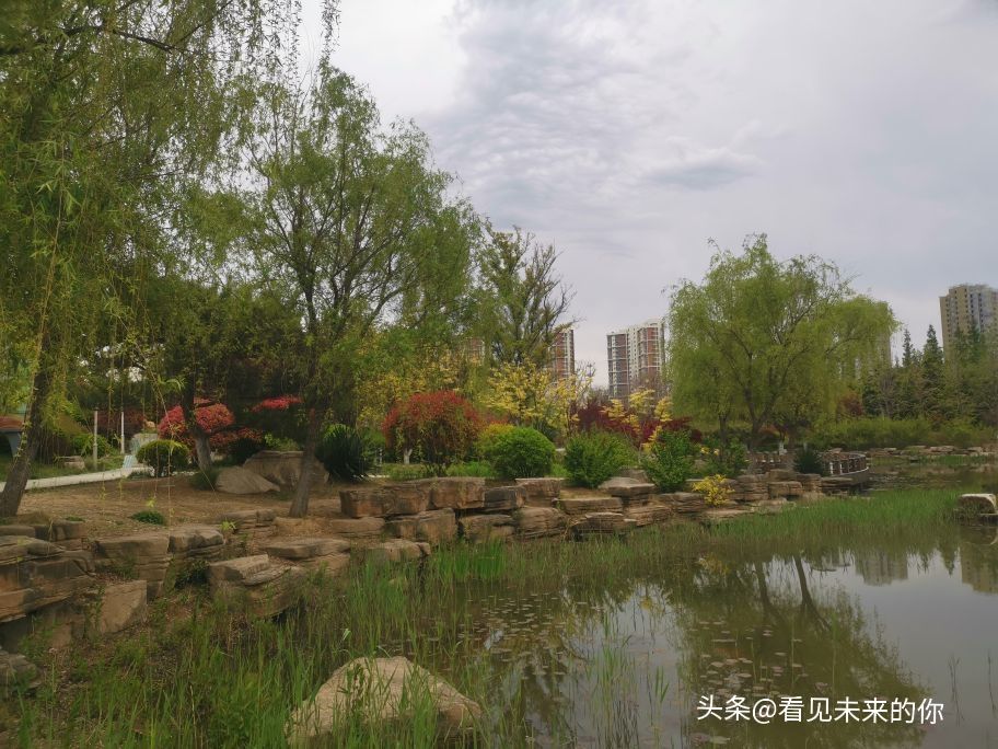 烟台开发区福莱山公园最新消息,烟台开发区福莱山公园喷泉时间