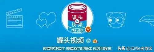 没想到这些大号他们“制造”出来的,这些大号你关注了哪些呢?