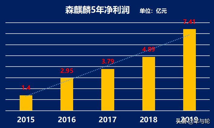 森麒麟是国内最好的轮胎吗,森麒麟属于什么档次