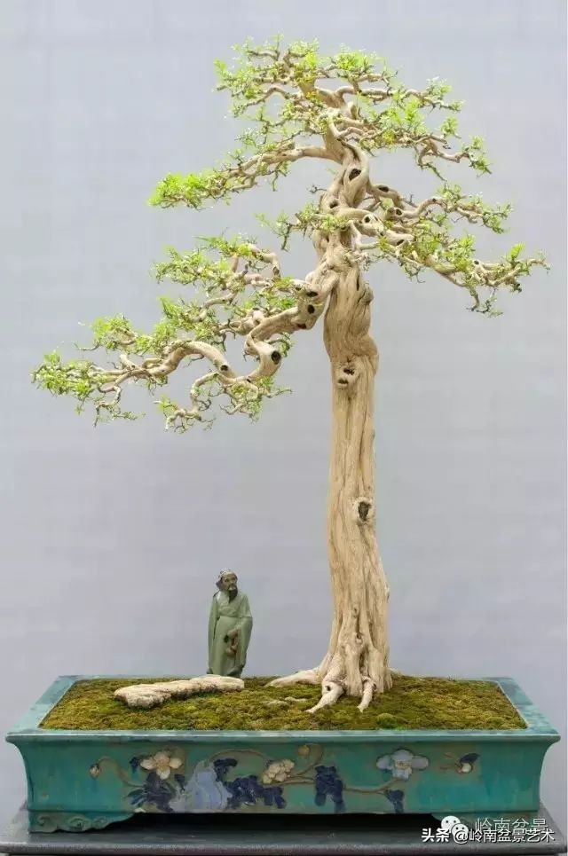 骞哥涔呬箙鐢滅敎铚滆湝,骞哥涔呬箙