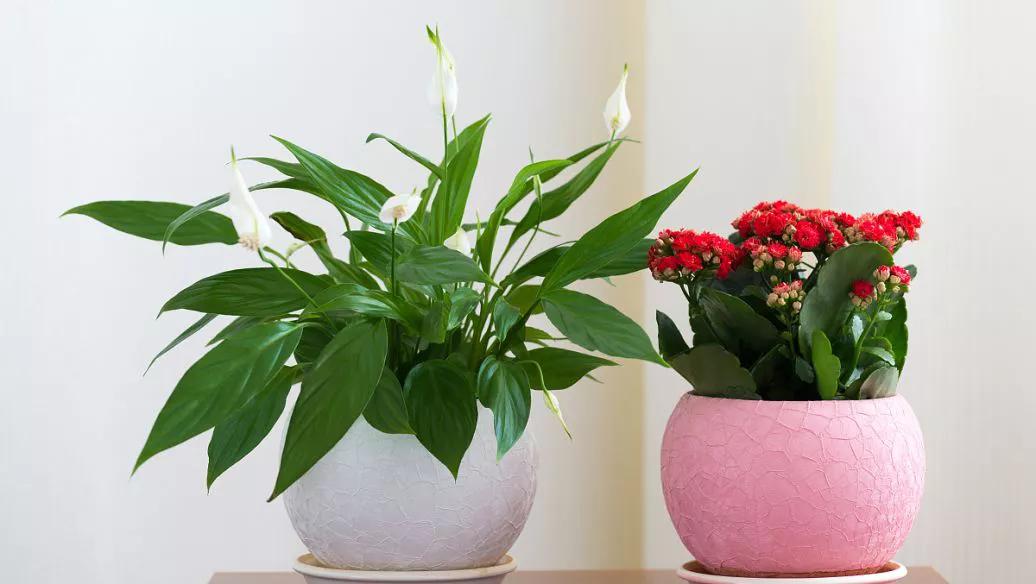 送给闺蜜的手工礼物,8-12岁闺蜜礼物