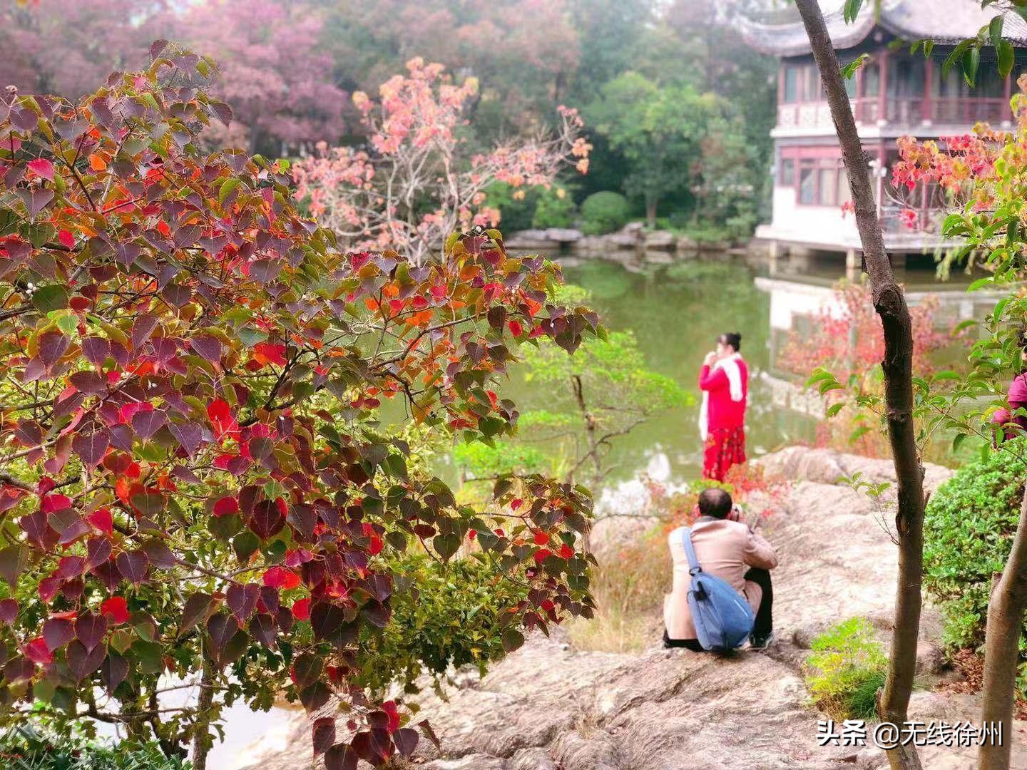 四色的徐州之秋，你最爱哪一款？