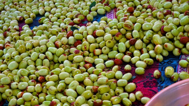 9月份云南有什么好吃水果,云南瓜果飘香有你最爱的吗