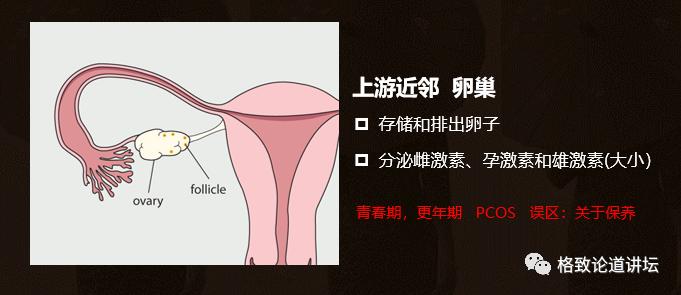 身为女人的我们如何保护好自己,作为人类我们如何保护地球