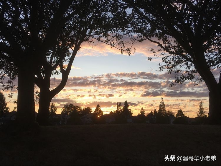 加拿大_WestRichmond西列治文社区夏秋