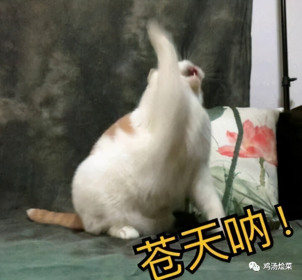 为什么60帧游戏还是卡,为什么游戏fps最高只能到60