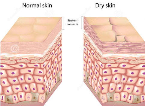 闺蜜洁面必备清单,闺蜜私藏东西大全