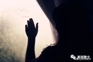 鲁家大院拍摄真实故事,鲁家大院在哪里