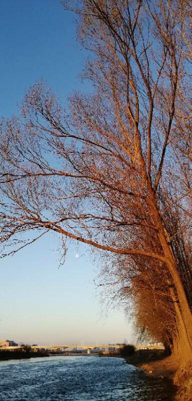 2022年世界手机摄影大赛征稿,手拍世界摄影网