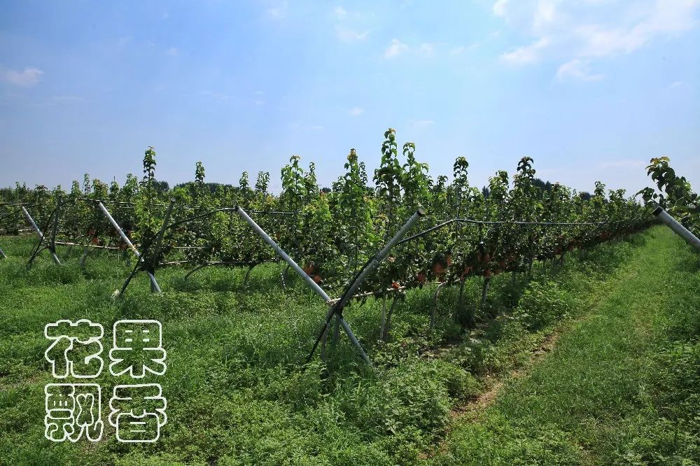 一位企业家的成功之路,企业家要有仰望星空的格局与胸襟