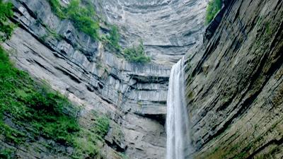 周末来一场与银杏的邂逅,周末与阳光撞个满怀