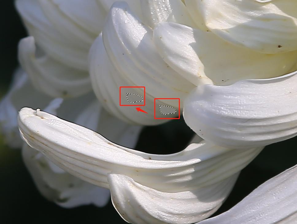 后期照片处理需要什么条件,后期如何把相片处理的清晰干净