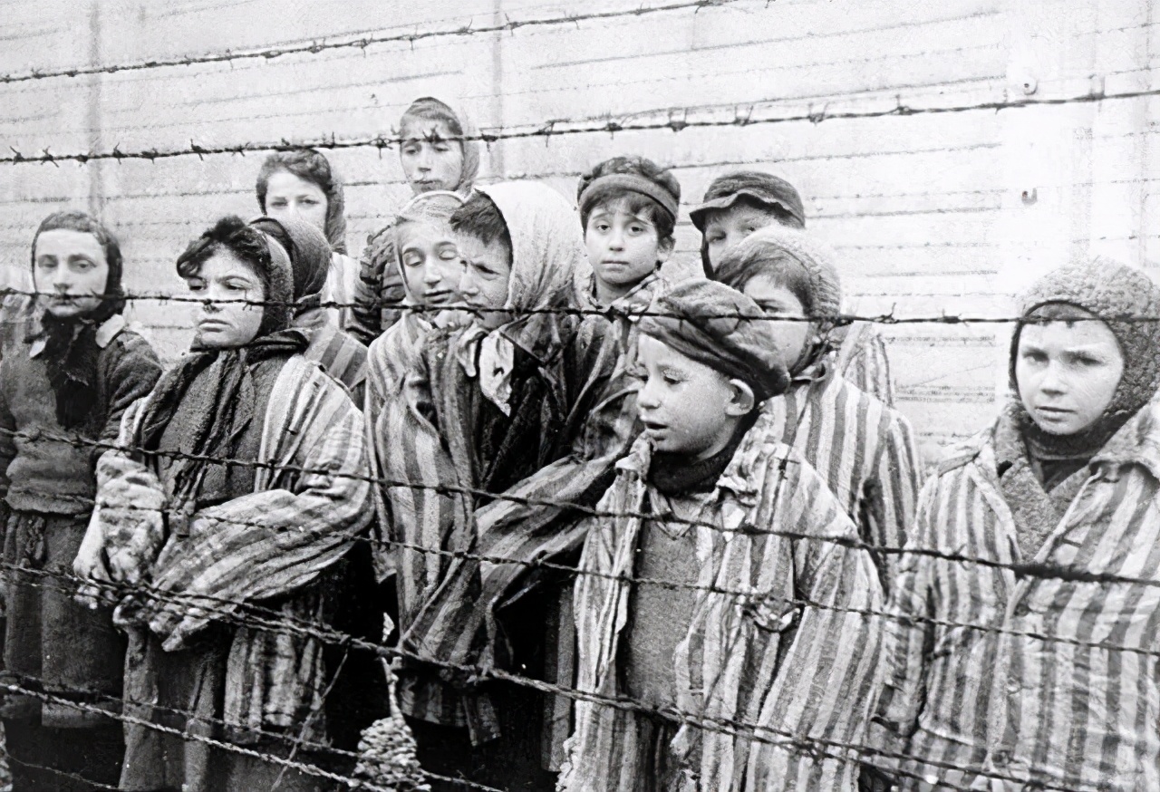 犹太人和巴勒斯坦人有什么区别,犹太人和以色列人有何区别