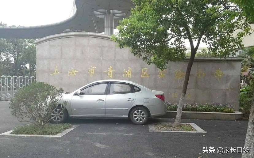 上海各区重点小学最新排名,上海小学排名榜最新的学校