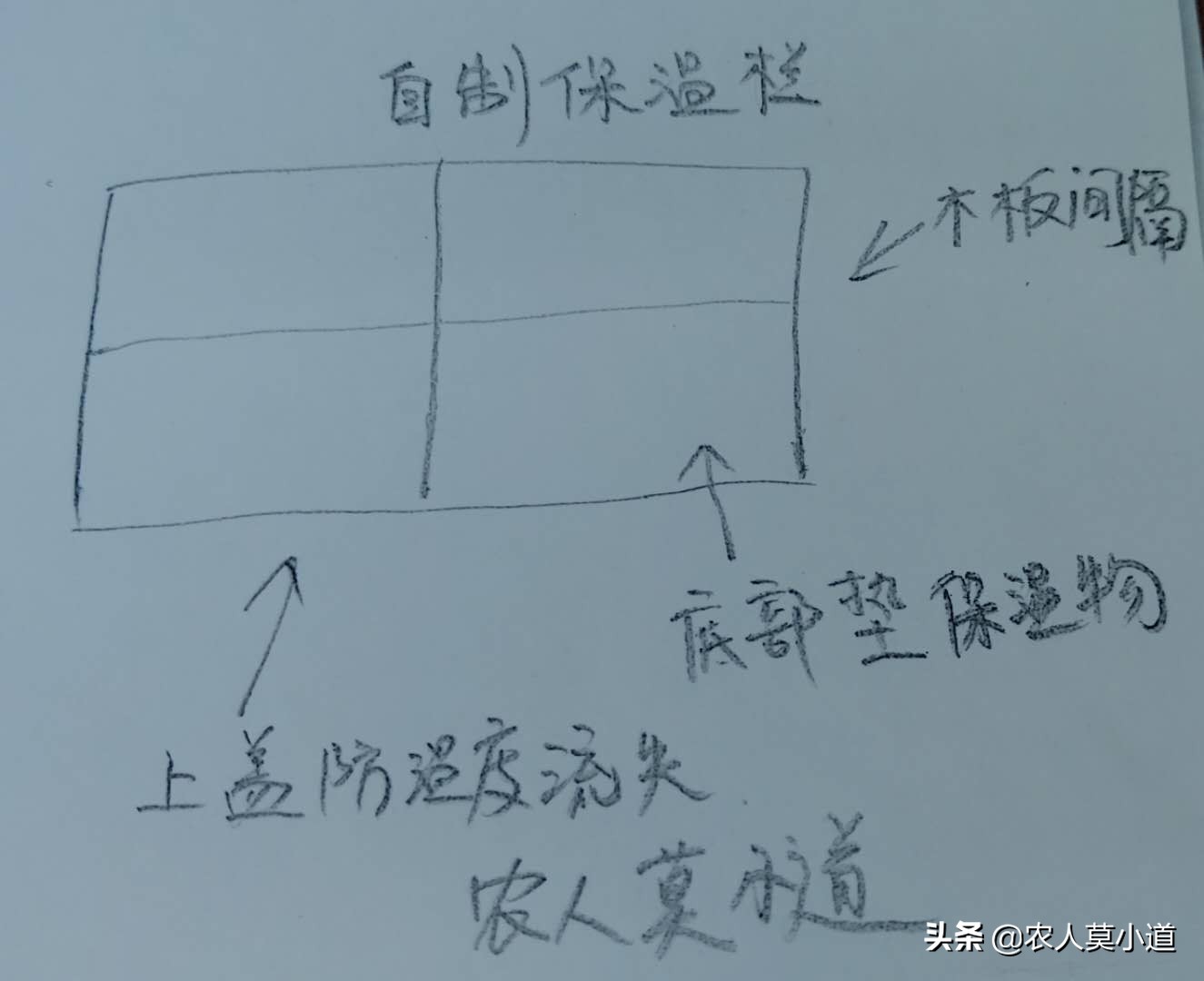 养3000只鹅苗棚里保温怎么做,在家庭如何自己保温鹅苗