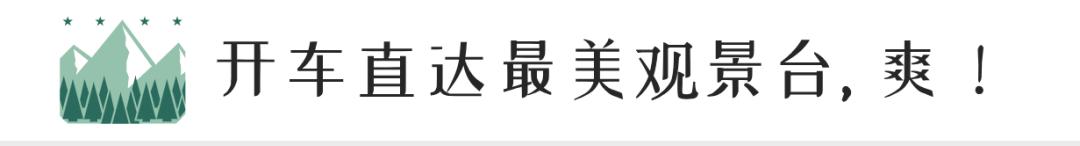 1h飚拢！千年银杏、云海星空、木屋烧烤……这条路线9……