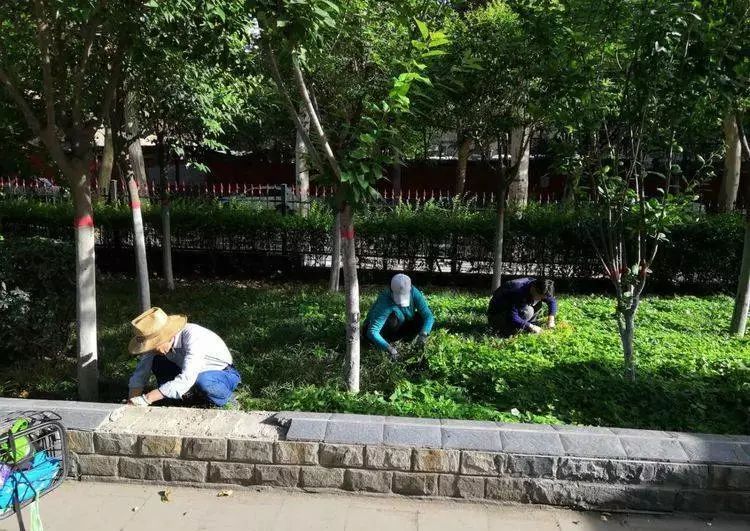 战高温斗酷暑坚守一线工地,战高温斗酷暑坚守一线照片