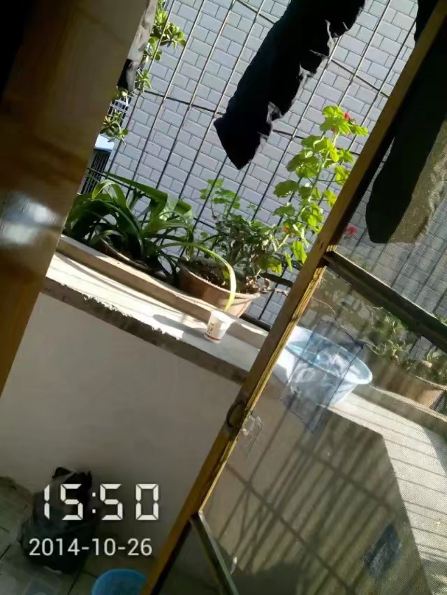 手机免费修复老照片软件,老照片扫描到手机