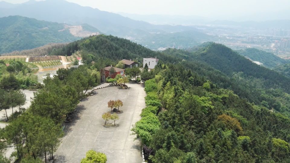 一日之计在于晨完整的古诗下一句,一日之计在于晨完整的古诗视频