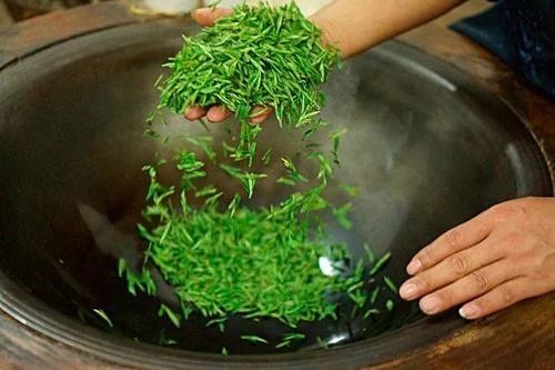 各类茶对应五行,代表五行的茶有哪些品种