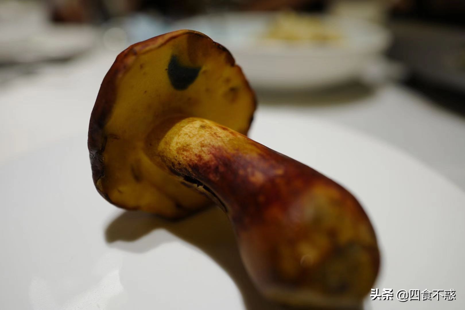 五一城市旅行,五一旅行足迹地图