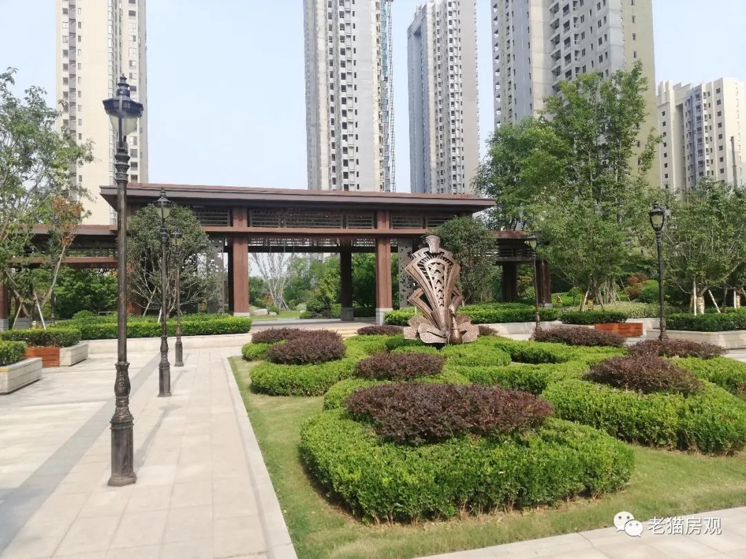 深度分析滨河国际新城,实地看盘系列