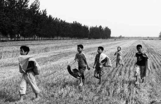 在那个困难又不缺少温情的年代，*靠我**捡麦穗买了第一双运动鞋！