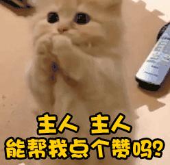 两00后入一线，河南建业小鬼当家，构喀麦隆双枪，依然叫保级队