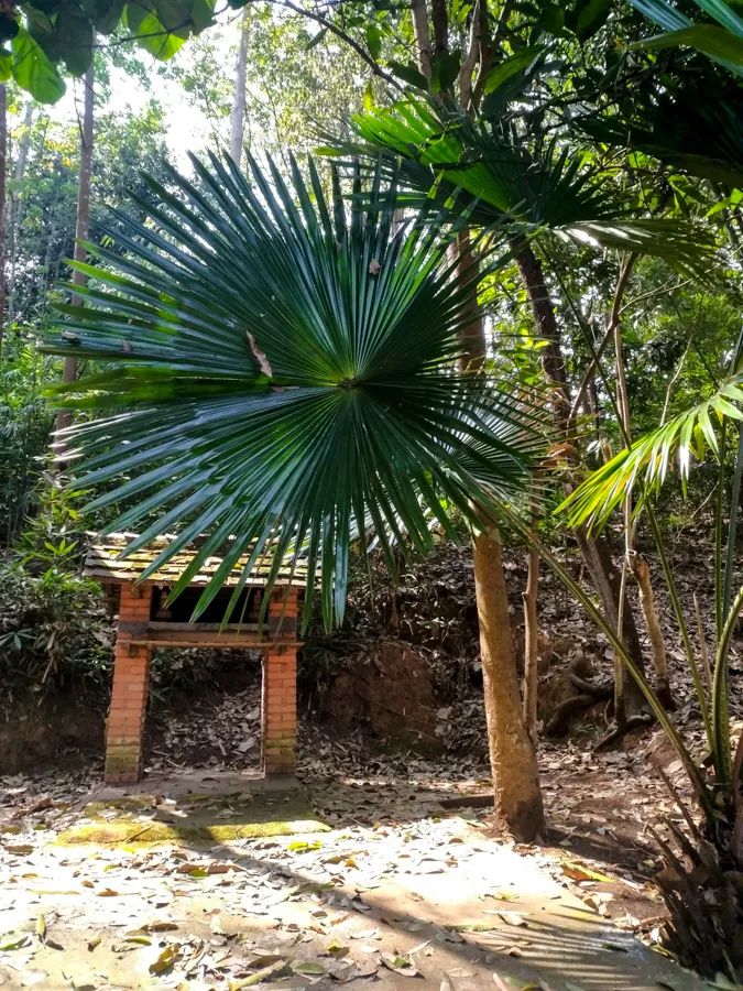 告庄西双景游玩多长时间,告庄西双景值得去吗