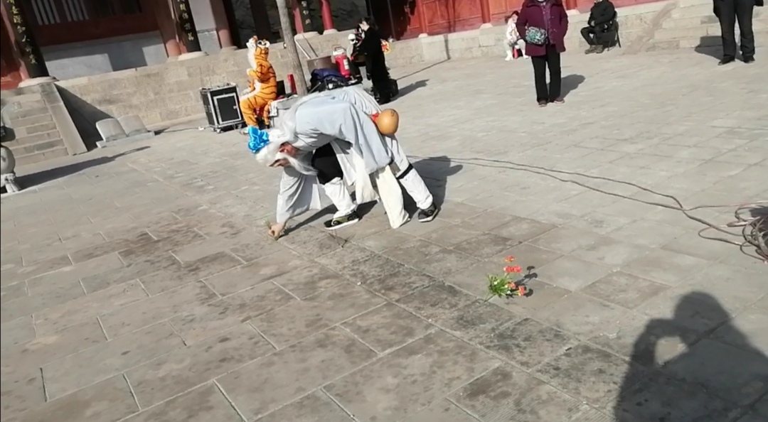 海拔500多米高山,500多米高山出现罕见一幕