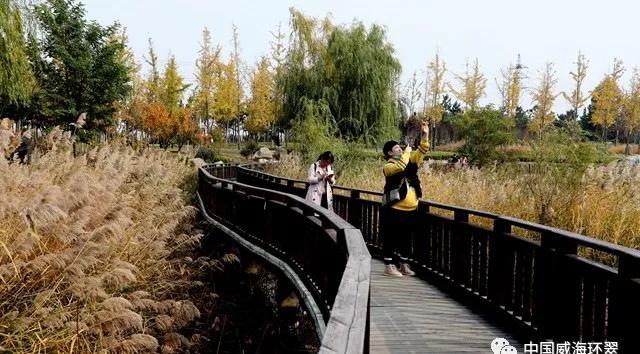 走进春天的环翠公园,环翠景色