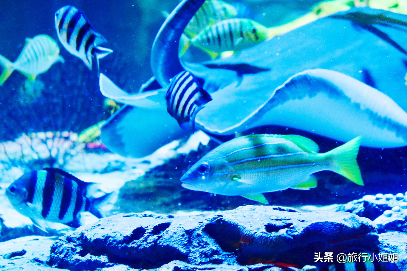 住在梦幻城堡,抚仙湖海豚湾住宿攻略