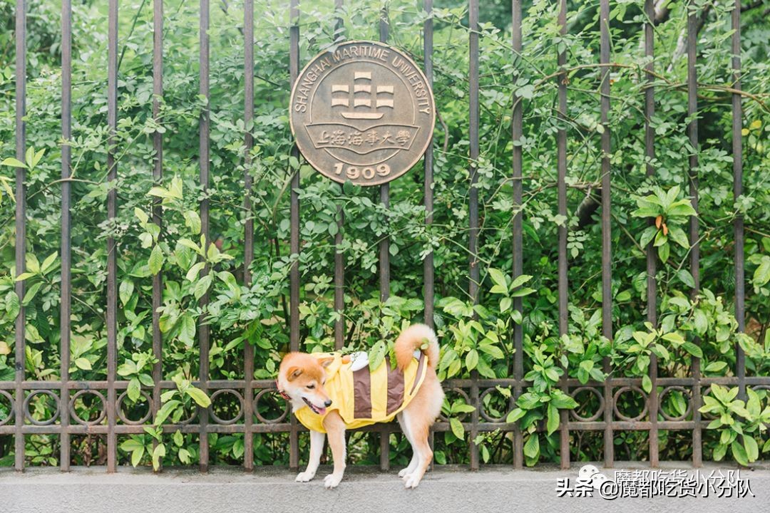 高考择校tips,高考择校指导985211